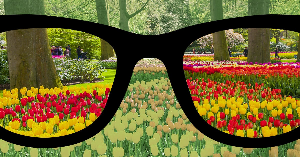 Colorblind glasses