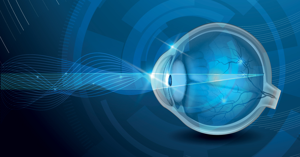Las partes del ojo humano