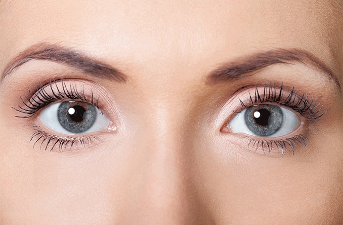 Ojos grises - All About Vision