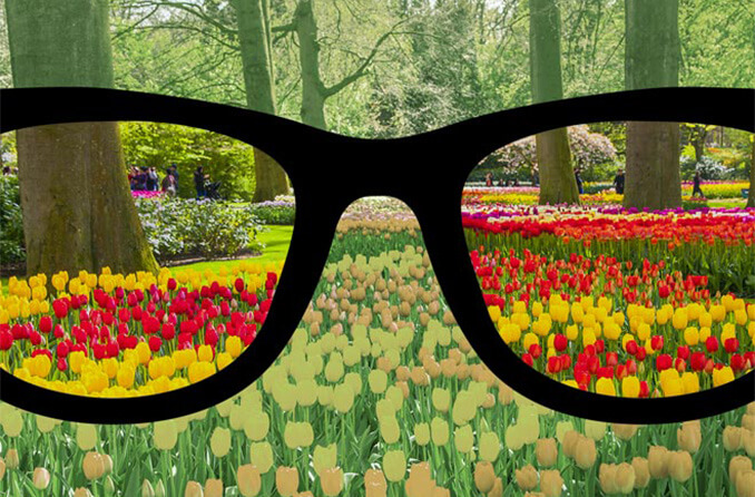 Gafas para daltónicos: tipos, costos y cómo funcionan