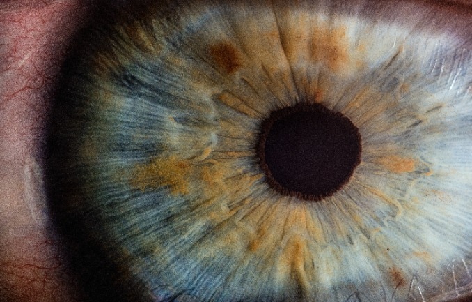 Le fond d’œil : a quoi sert le fond d’œil ?