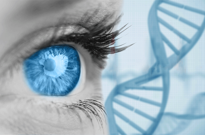 Genética da cor dos olhos: O que determina a cor dos olhos?