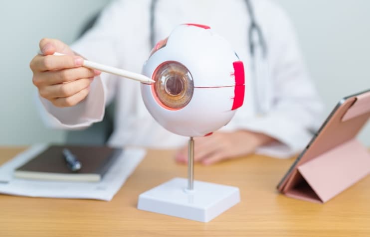 Doctor pointing to Eyeball model