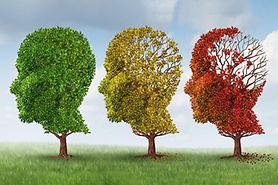 3 trees in the shape of heads with leaves slowly blowing away