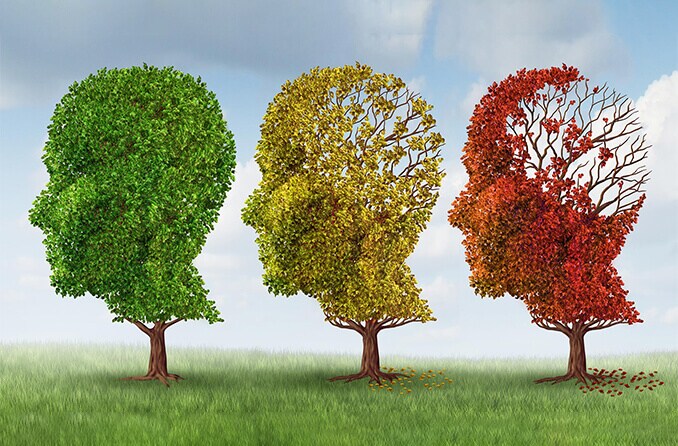 3 trees in the shape of heads with leaves slowly blowing away