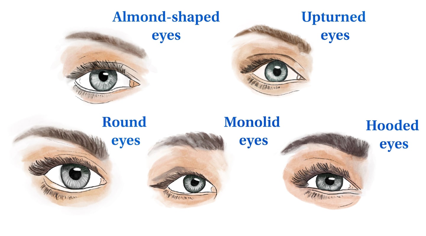 Different Types of Eye Shapes