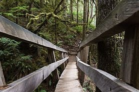view of depth perception on a long wooden bridge