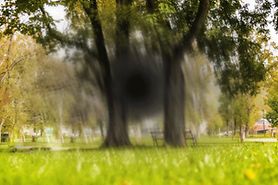 What causes temporary blindness or blind spots? What causes temporary blindness or blind spots?