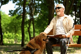 Legally blind man sitting on park bench with guide dog