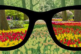 Enchroma color blind eyeglasses