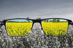 tritanopia (blue-yellow color blindness)