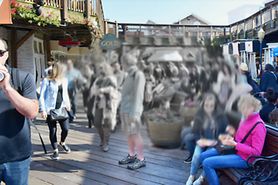 Blurred or no vision in the center of the visual field