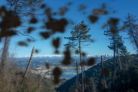 view of landscape with dark spots in vision