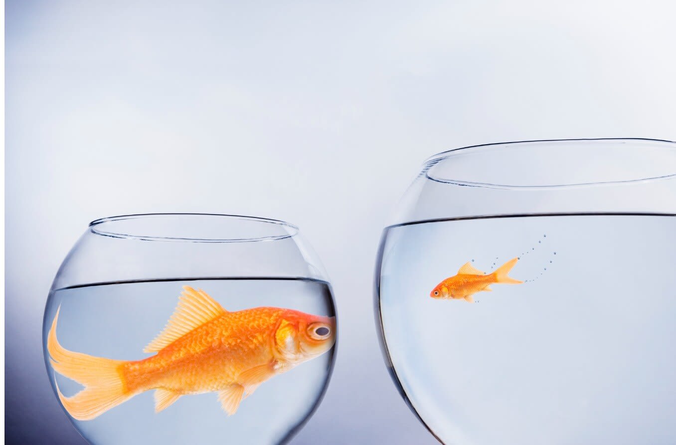 Alice in Wonderland syndrome (AIWS) Alice in Wonderland syndrome (AIWS)