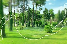 Image of a nature scene with trees and green grass through the outline of a presbyopia iol. Image of a nature scene with trees and green grass through the outline of a presbyopia iol.