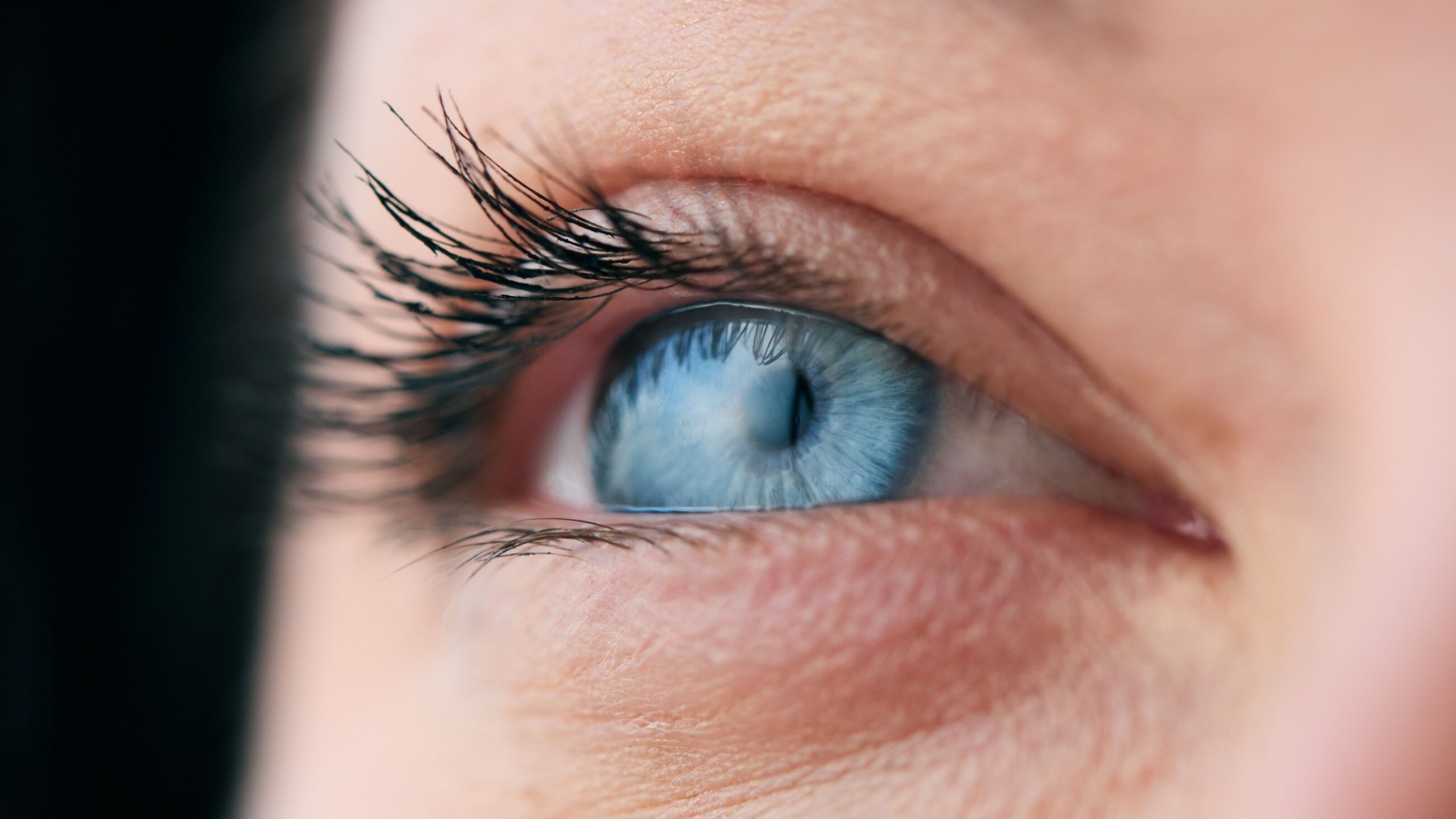 surgeon's hand holding an eye transplant