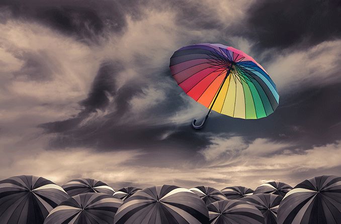 How Do We See Color?