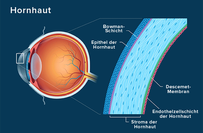 Hornhaut (Auge): Definition, Funktionen & Beschwerden