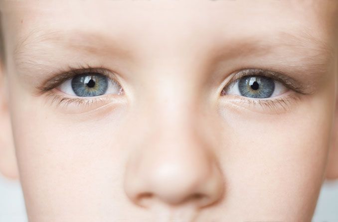 grand plan, de, garçons, yeux bleus