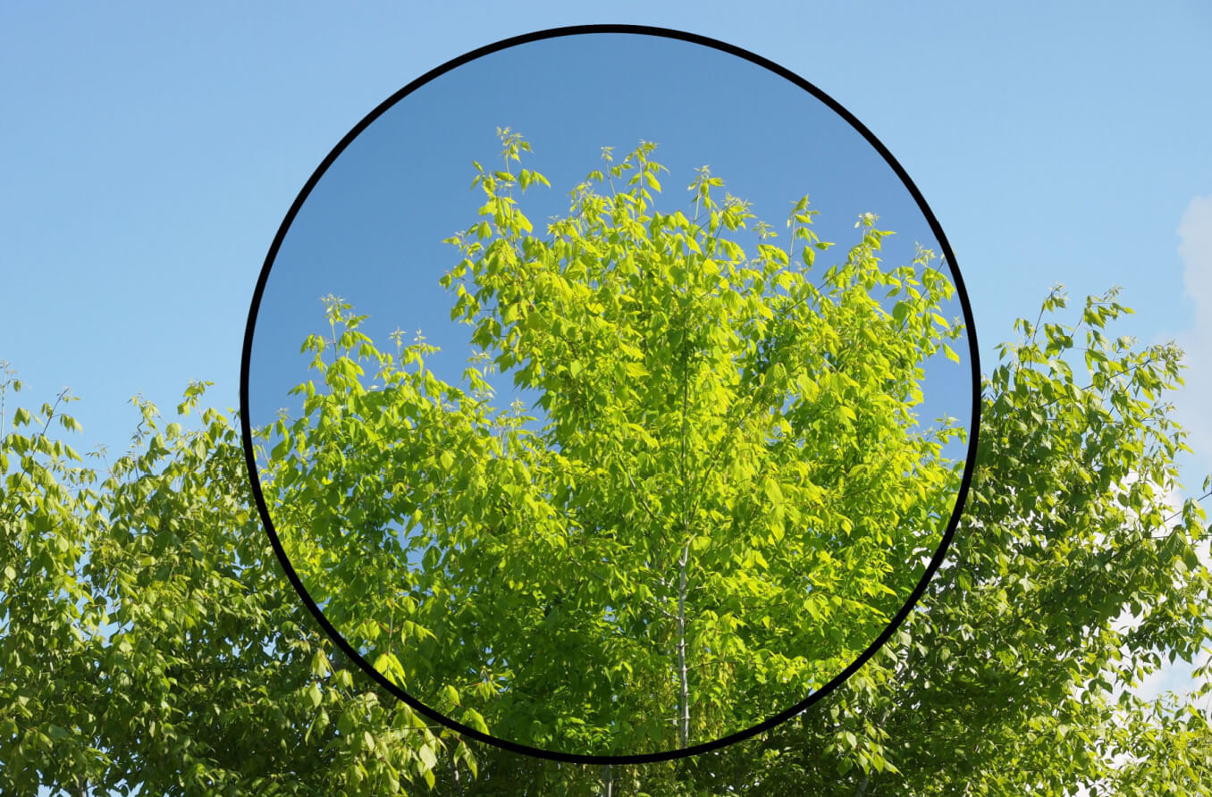 Lunettes de soleil polarisées et non polarisées