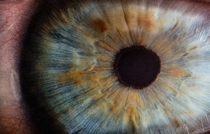 Le fond d’œil : a quoi sert le fond d’œil ?